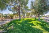 316 Paseo Sarta - Photo 45