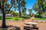 316 Paseo Sarta - Photo 47