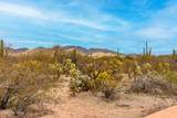12571 Sonoran Ridge Drive - Photo 44