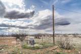 398 Acres Highway 181 - Photo 11