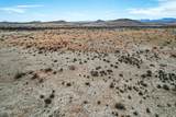 216 Acres Highway 181 - Photo 26