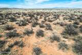 216 Acres Highway 181 - Photo 27