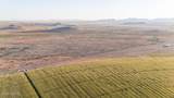 216 Acres Highway 181 - Photo 9