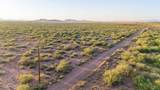 182 Acres Highway 181 - Photo 11