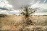 91 Acres Highway 181 - Photo 26