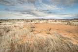 91 Acres Highway 181 - Photo 27