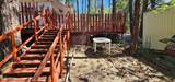 229 Pine Shadow Drive - Photo 19