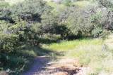 TBD Callas Drive - Photo 11