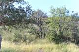 TBD Callas Drive - Photo 12