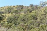 TBD Callas Drive - Photo 14