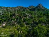 14942 Slippery Ridge Loop - Photo 11