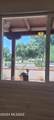 479 Paseo Madera - Photo 21