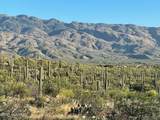 3051 Placita De Nazca - Photo 11
