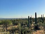 3051 Placita De Nazca - Photo 13