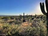 3051 Placita De Nazca - Photo 14