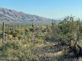 3051 Placita De Nazca - Photo 15