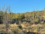 3051 Placita De Nazca - Photo 18