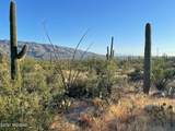 3051 Placita De Nazca - Photo 6