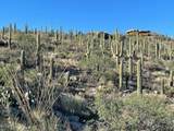 13665 Placita Del Inca - Photo 19