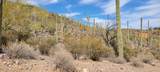 4790 El Adobe Ranch Road - Photo 10
