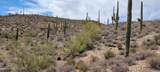 4790 El Adobe Ranch Road - Photo 25