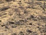 TBD Prospectors Road - Photo 11