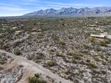9633 Giant Cacti Drive - Photo 12
