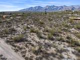 9633 Giant Cacti Drive - Photo 19
