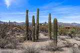 9633 Giant Cacti Drive - Photo 5