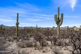 9633 Giant Cacti Drive - Photo 6