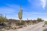 9633 Giant Cacti Drive - Photo 7