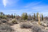 9633 Giant Cacti Drive - Photo 8