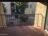 1620 Wilmot Road - Photo 15