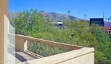 441 Yucca Court - Photo 23