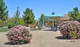 8573 Western Juniper Terrace - Photo 19