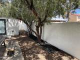 2239 4th Street - Photo 33