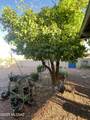8812 Colette Street - Photo 44