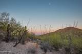 3075 Placita Sierra Tortuga - Photo 14
