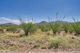 9789 Ocotillo Rim Trail - Photo 20