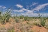 9789 Ocotillo Rim Trail - Photo 25