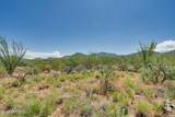 9789 Ocotillo Rim Trail - Photo 27