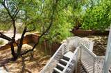 852 Jennella Drive - Photo 36