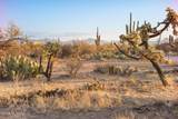 2676 Cougar Canyon Trail - Photo 10