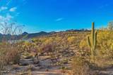 2676 Cougar Canyon Trail - Photo 11