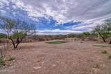 12695 Ocotillo Ridge Trail - Photo 48