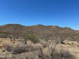 10580 Ocotillo Rim Trail - Photo 3