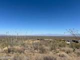 10580 Ocotillo Rim Trail - Photo 4