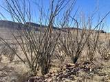 TBD Wilderness Trail - Photo 10