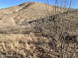 TBD Wilderness Trail - Photo 7