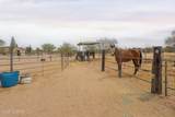 13045 Trico Road - Photo 46